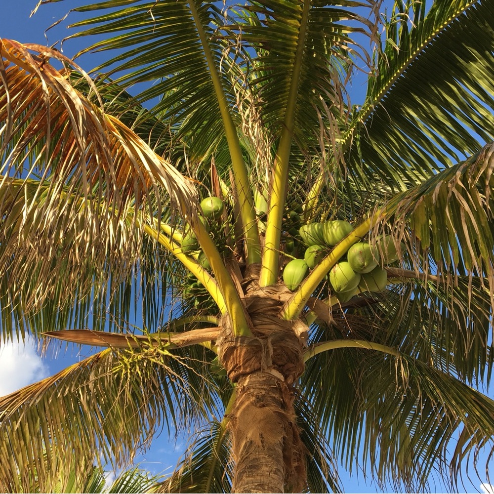 Meet your Posher, Lilla